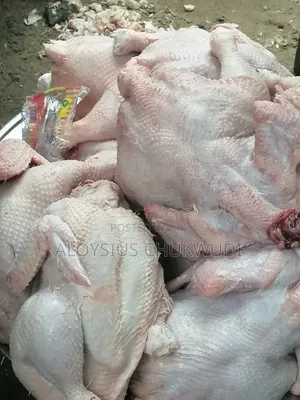 Frozen Chicken