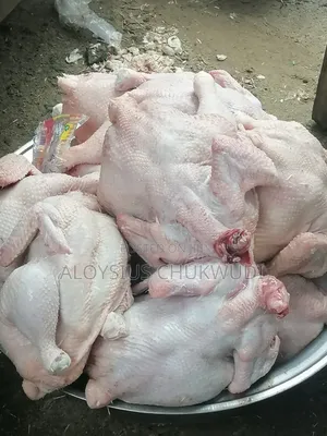 Frozen Chicken
