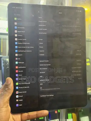 Apple iPad Pro 12.9 (2021) 256 GB Gray