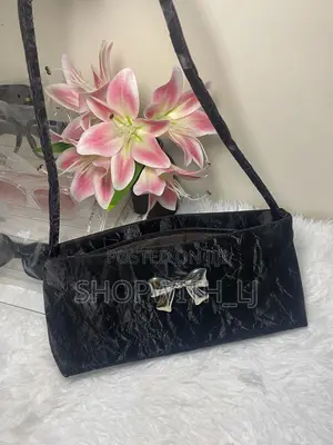 Simple and Stylish Bow Bag