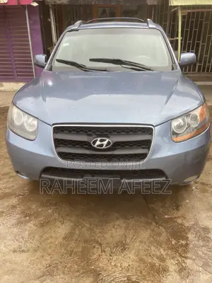 Hyundai Santa Fe 2008 Blue