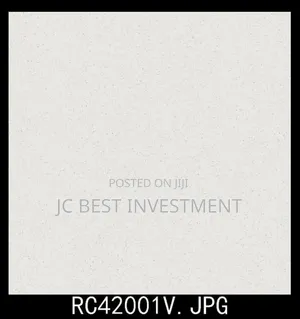 40/40 Vitrified Floor Tiles