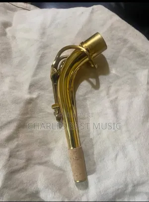 Professional Saxophone Neck