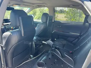 Lexus RX 2010 Gray