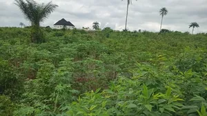 4 Plots Motorable Residential Land for Sale at Ogwashi-Ukwu, Delta