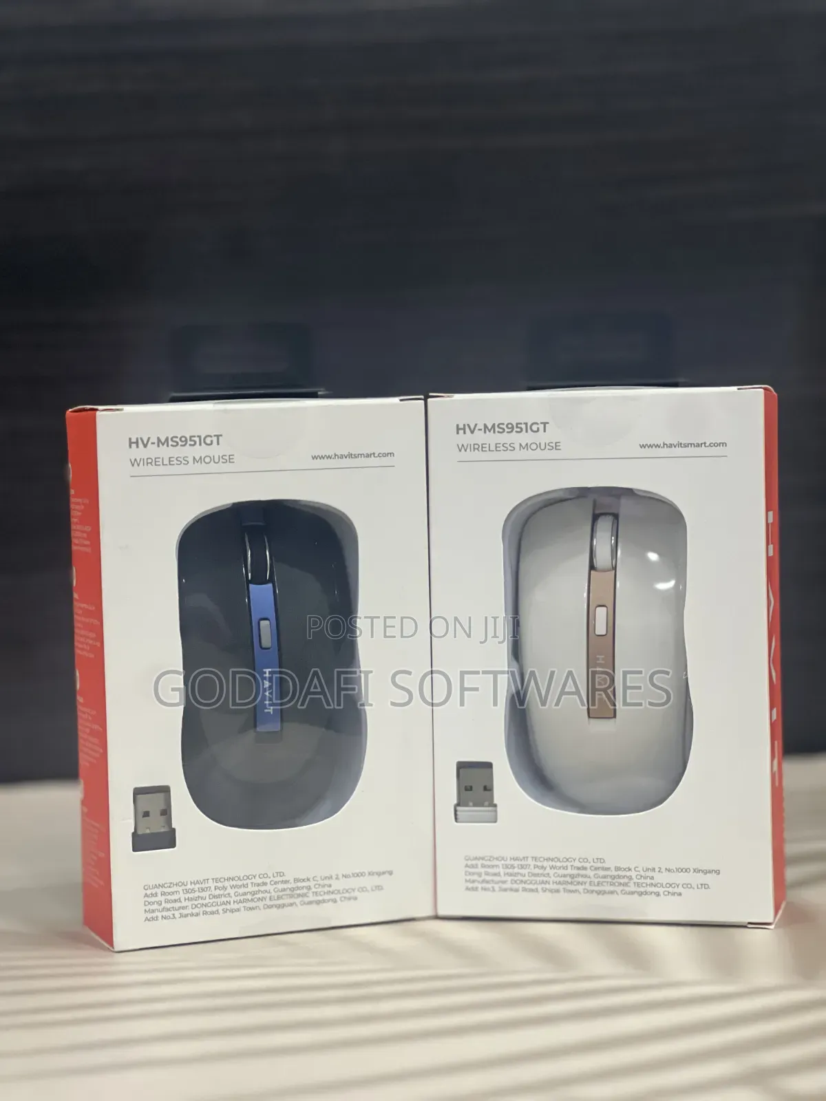 Havit MS951GT Wireless Mouse | Goddafi Stores