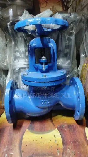High Quality 4" Globe Valve