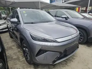 BYD Yuan Plus 2025 Gray
