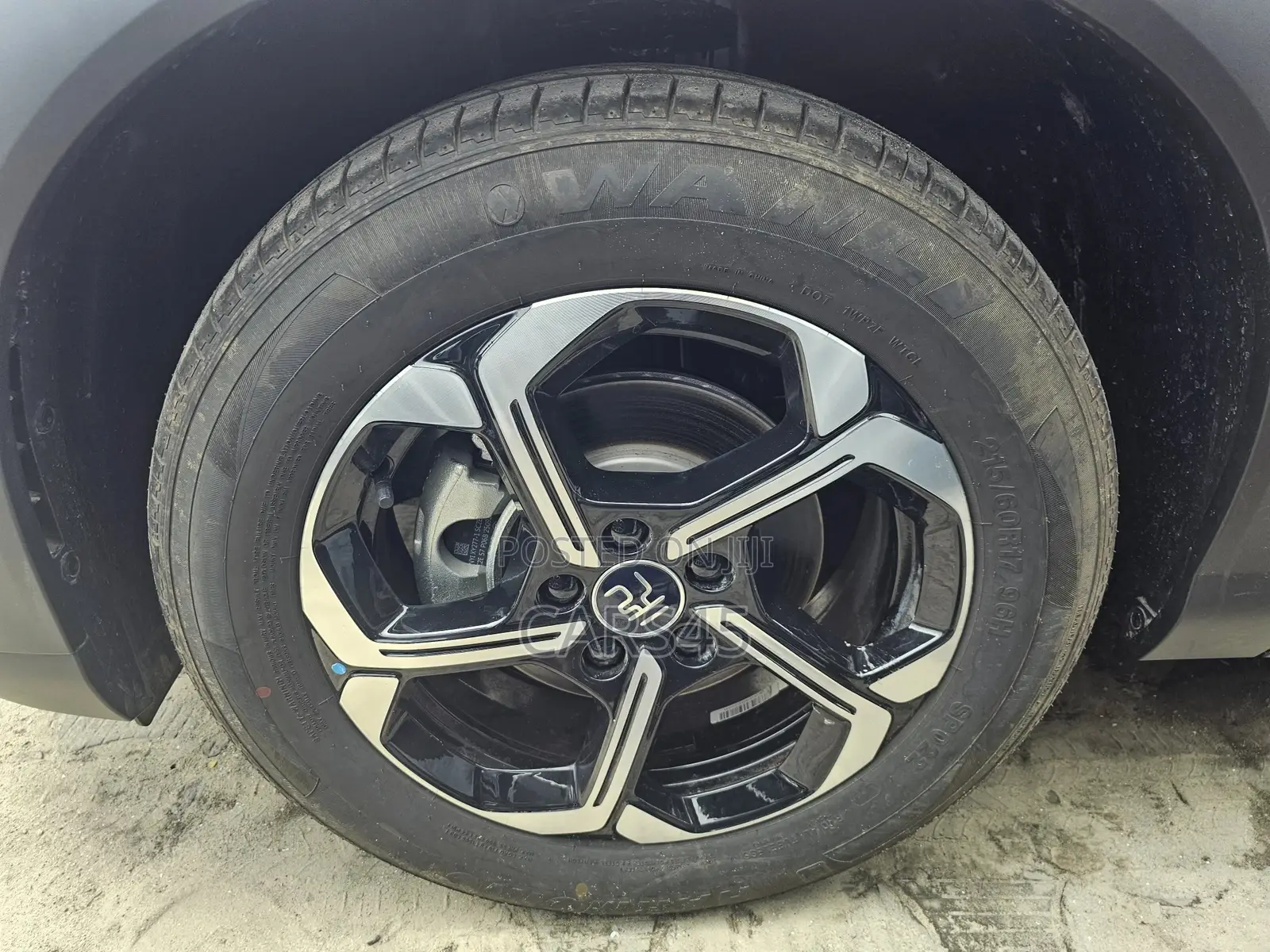 BYD Yuan Plus 2025 Gray