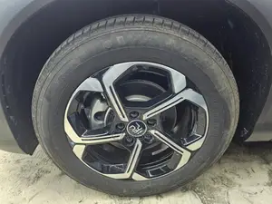 BYD Yuan Plus 2025 Gray
