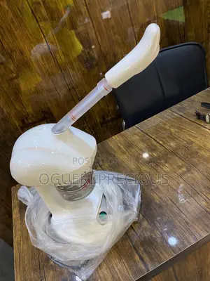 Facial Steamer