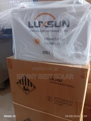 Luxsun Lithium Battery 12volts