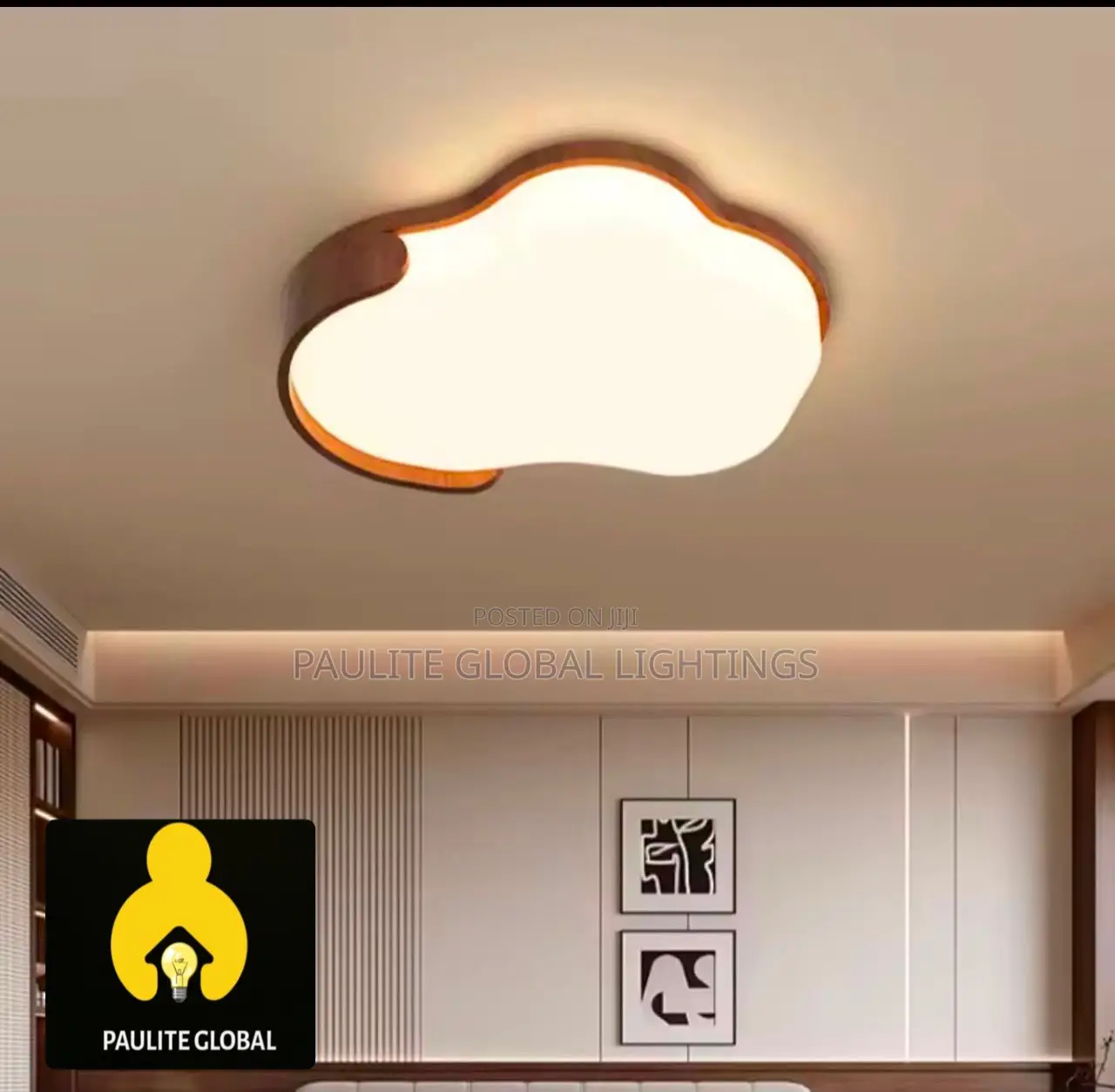 New Designed Ceiling Fitting