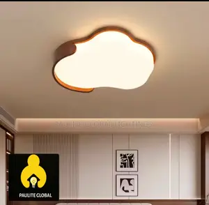 New Designed Ceiling Fitting