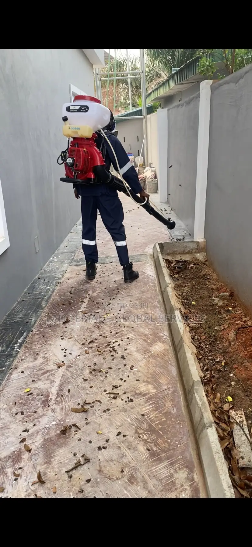 Fumigation and Pest Control Service