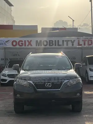 Lexus RX 2009 Gray