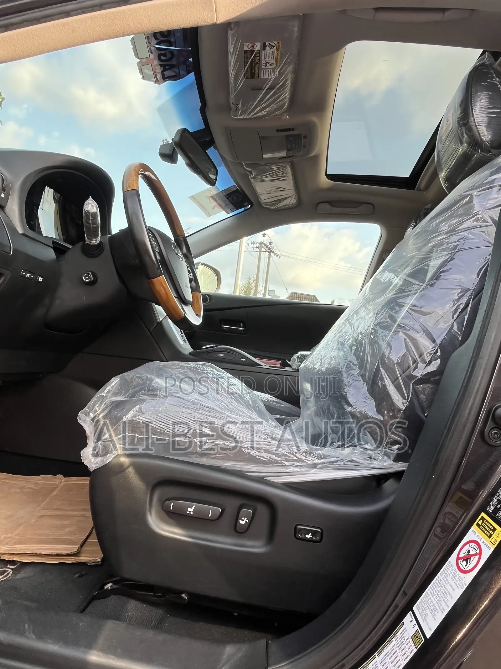 Lexus RX 2009 Gray
