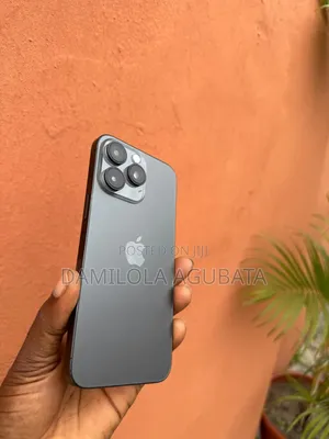 Apple iPhone 15 Pro Max 256 GB Gray