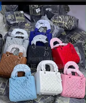 Dior Luxury Bag