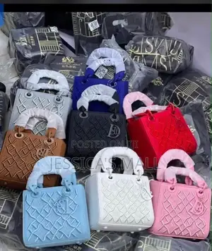 Dior Luxury Bag