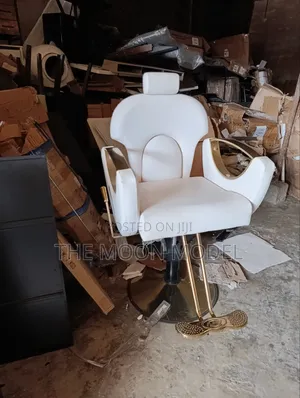 Multipurpose Quality Salon/Office Chair