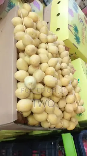 Fresh Imported Friuts