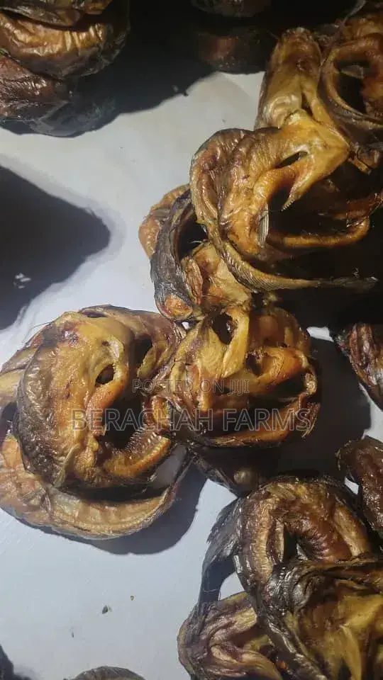 Dried Catfish