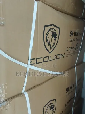 5kwh 24v Ecolion Lithium Battery