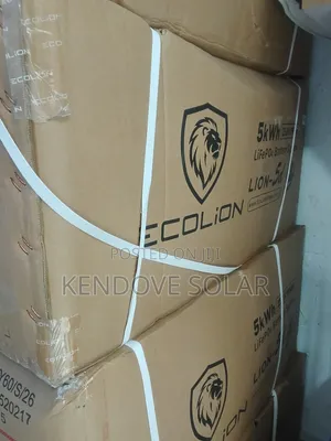5kwh 24v Ecolion Lithium Battery