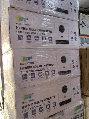 Blue Power Inverter Hybrid 4.2kva 24v