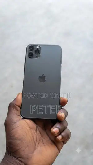 Apple iPhone 11 Pro Max 256 GB Gray