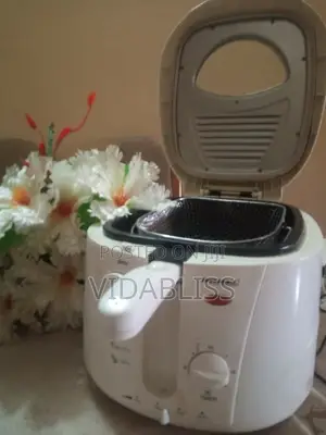 Deep Fryer
