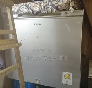 Samsung Freezer in Good Working Condition
