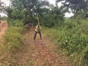 Land for Lease