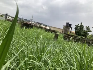For Sale: A Fenced & Gated Two Plots of Land @ Johnson Awe