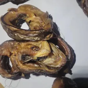 Dried Catfish