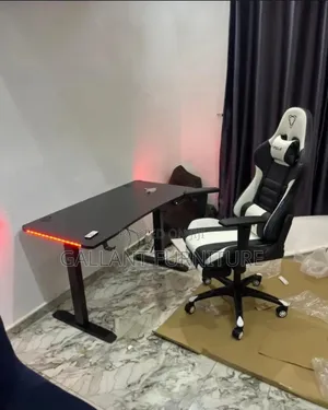 Luxury Electric Ergonomic Desk and Chair