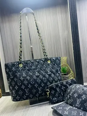 Louis Vuitton 3in 1