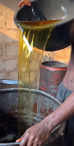 Palm Kernel Oil ( Tonns )