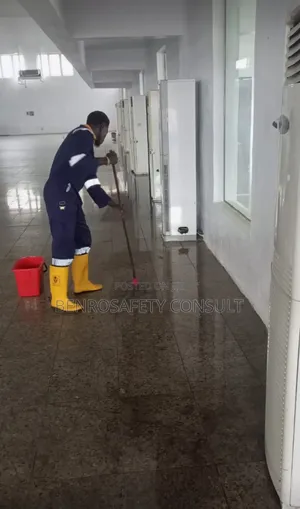 Benrosafety Consult - Environmental Cleaning, Pest Control and Audit