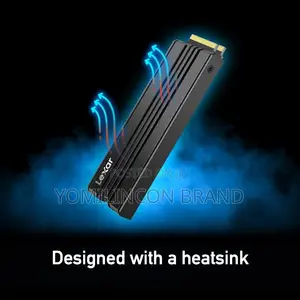 Lexar 1TB NM790 SSD With Heatsink.