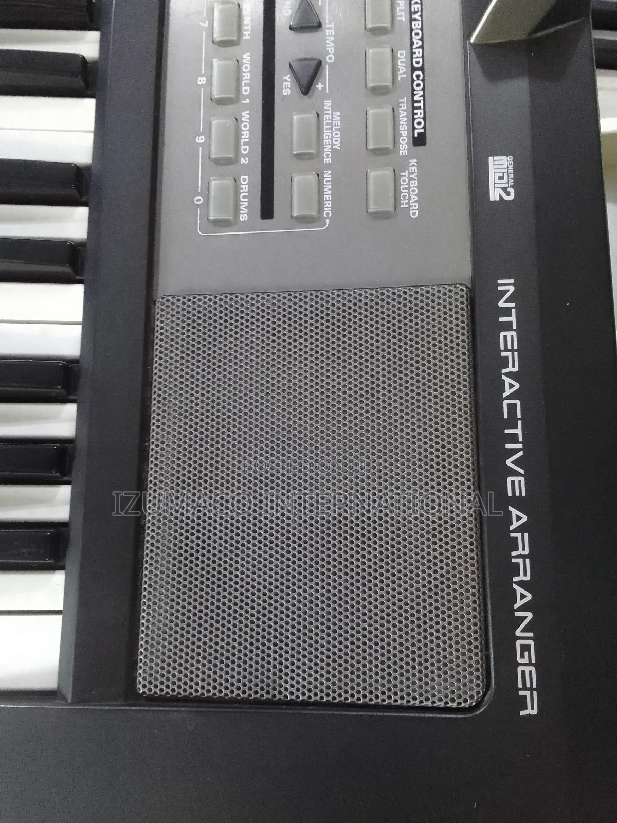 Roland E-09 Interactive Arranger Keyboard – Great Sound & Performance