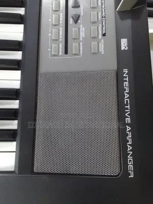 Roland E-09 Interactive Arranger Keyboard – Great Sound & Performance