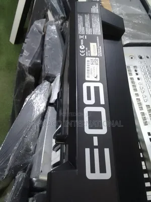 Roland E-09 Interactive Arranger Keyboard – Great Sound & Performance