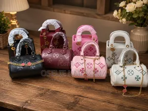 Louis Vuitton 2 in 1
