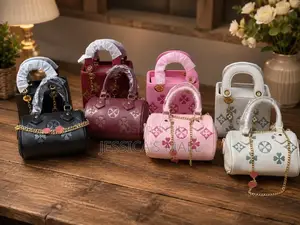 Louis Vuitton 2 in 1