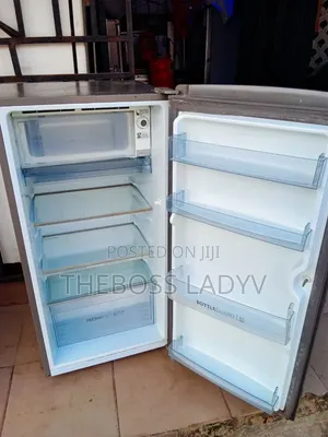 171ltrs Inverter Thermo Cool Mid Long Fridge