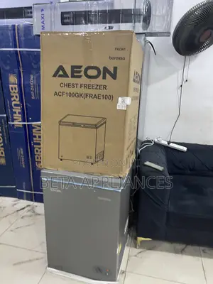 Aeon 100L Freezer for Sale in Nigeria – Quality Frozen Storage