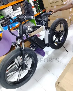 Electric Bike