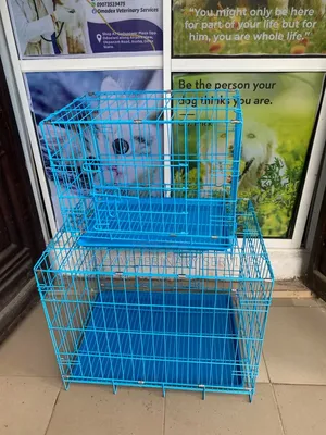 Dog Cages of Different Sizes